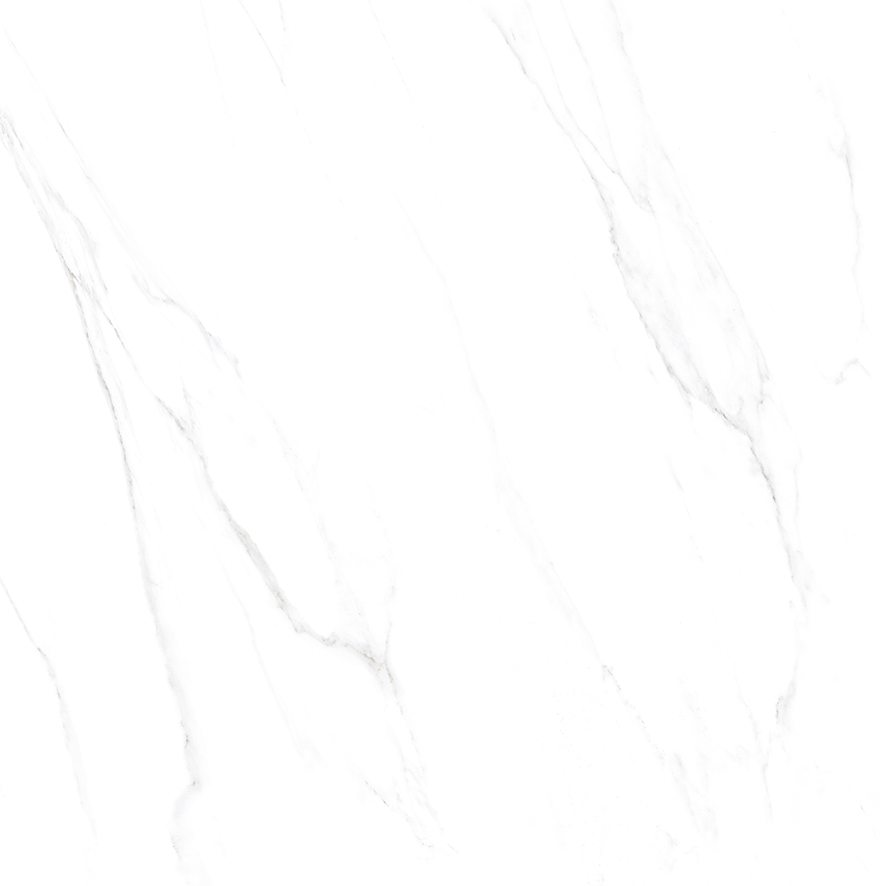 CALACATA MATTE