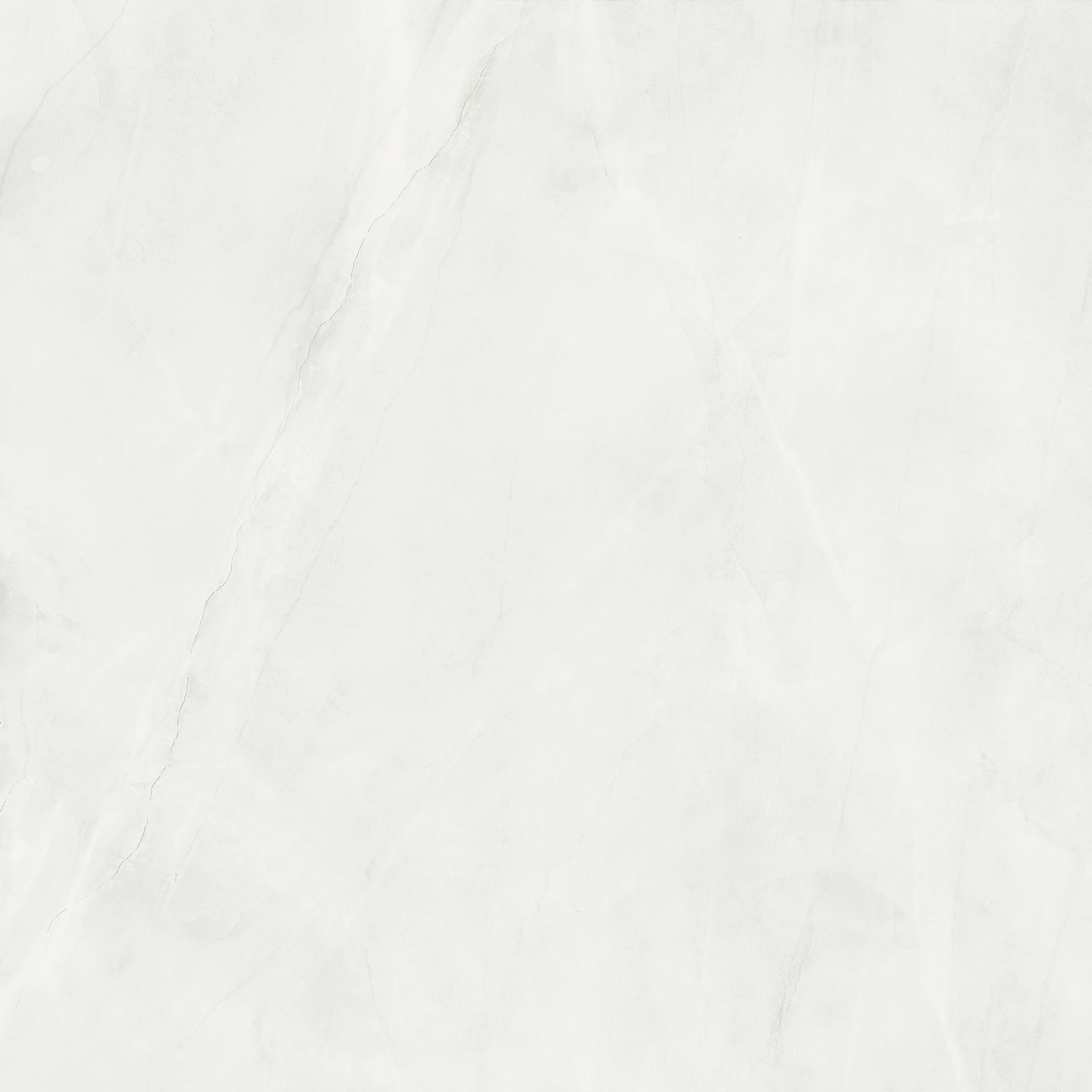 CHARLOTTE ICE POLIDO